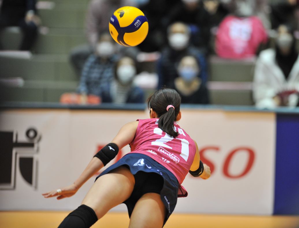 スコートドライブ　230枚　期間限定　プロ機材　神レンズ　スコート着用バレーボール　実業団バレーボール女子　ブルマ　アンダースコート　スコート　ハイレグ　女子アスリート　アスリート太もも　アスリートパンチラ　バレーボールパンチラ