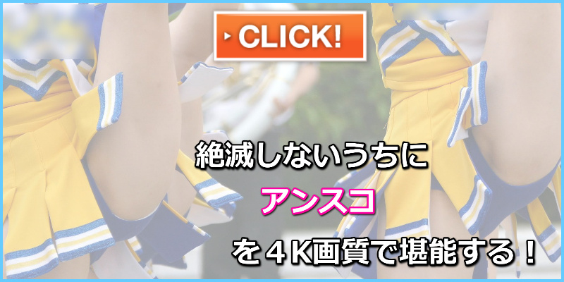 チアガール　アンスコ　ハイキック　なにわガールズ４８８　【4K】 驚愕の映像 DE シコッティタイムや！連続攻撃フェーズ114 アンスコや！